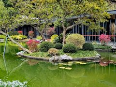 -云溪植物园