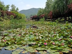 -石塘人家