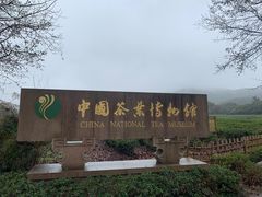 -中国茶叶博物馆(双峰馆区)