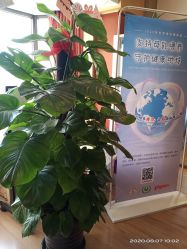 点击看大图 -琅悦月子会所(香格里拉旗舰店)