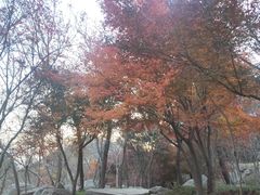 -崂山巨峰游览区