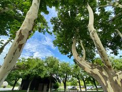 -汉长安城未央宫国家考古遗址公园