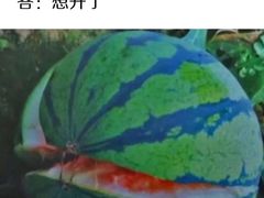 -重百超市(解放碑新华店)