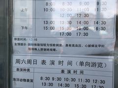演出时间表-海合安青岛极地海洋公园