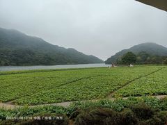 -广州市石门国家森林公园