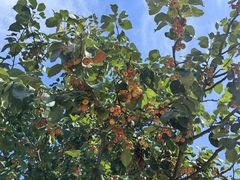 -稻梦空间冰雪小镇