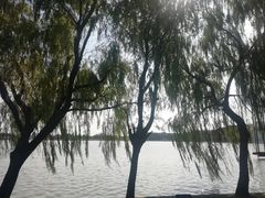 -上海月湖雕塑公园