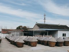 -苏州市吴中区光福窑上花果蜜饯厂