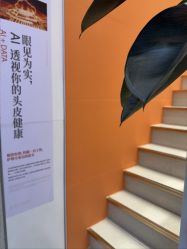 -润复丝·泽发防脱头皮管理
