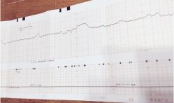 -沈阳市妇婴医院