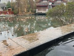 -深业半汤御泉庄温泉