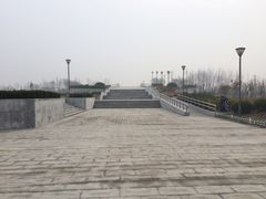 -东营·森林乐园