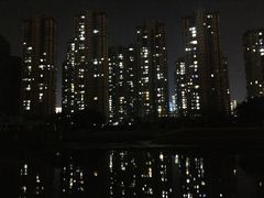 -光明港公园