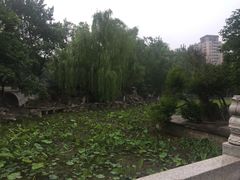 -莲湖公园