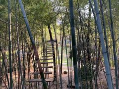-石燕湖生态旅游景区
