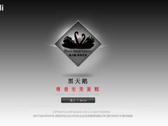 -BLACKSWAN黑天鹅(环球店)