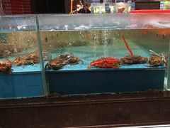 -阿伟海鲜楼·福建菜(延寿店)