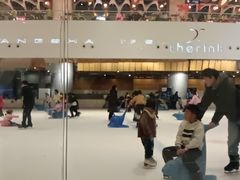 -TheRink大零溜冰场(IFS国金中心店)