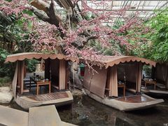 -世外桃源农庄·德清土菜(兴康南路店)