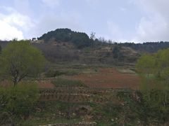 -王顺山国家森林公园