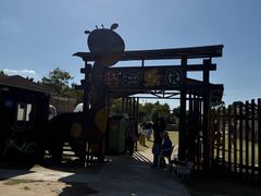 -上海长兴岛郊野公园