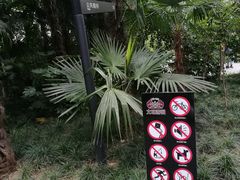 -兰溪青年公园