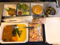 -全日本空输株式会社(上海办事处)