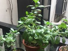 -太平老街-前行美术馆