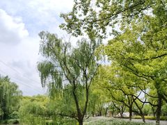 -昆山城市生态森林公园