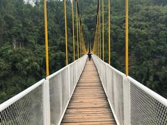 -川西竹海景区