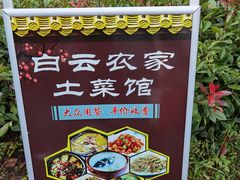 -千岛湖石林
