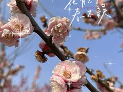 -七桥瓮公园