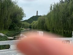 -北坞公园