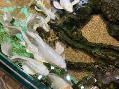 -太平洋海底世界