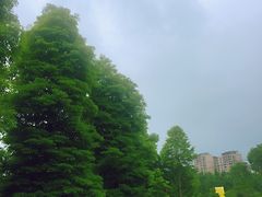 -水岸庭院·乡村柴火鸡