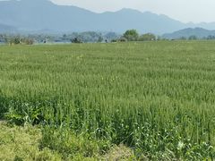 -红钳侠小龙虾·烧烤(中赢康康谷店)