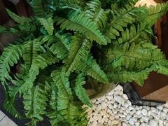 -小天厨民间菜馆(深圳街店)