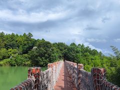 -广州白江湖森林公园