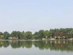 -石家庄市植物园