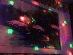-迪迪派KTV(创业大厦店)
