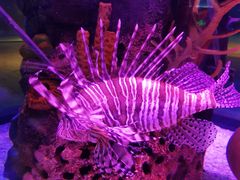 -沈阳海洋探索中心