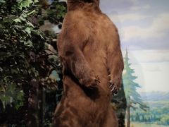 -陕西自然博物馆