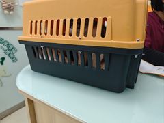 -宠福鑫康馨动物医院·骨科·眼科