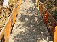 -云碧峰国家森林公园