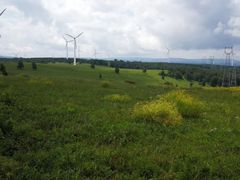 -塞罕坝国家级自然保护区