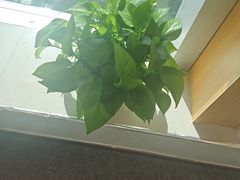 -Eziwish眼镜·蔡司授权店
