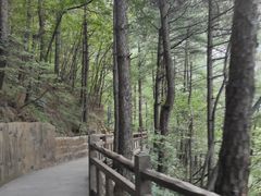 -罗田天堂寨风景区