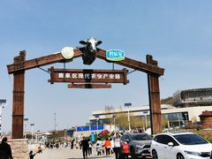 -君乐宝优致牧场