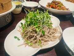 香椿苗拌豆腐丝-四季京未(五羊新城店)