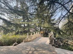 -西苑公园